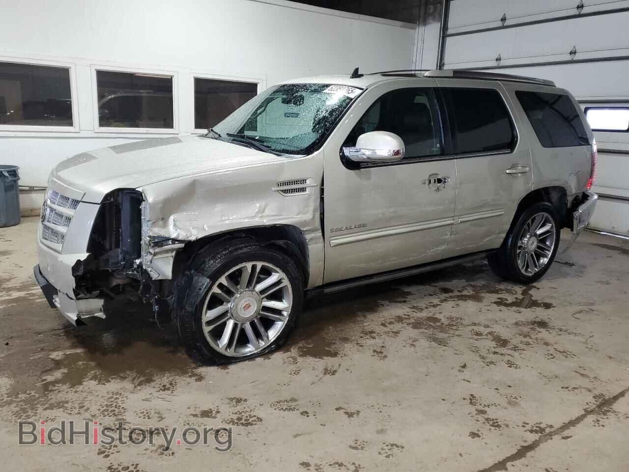 Фотография 1GYS4CEF0ER223003 - CADILLAC ESCALADE 2014