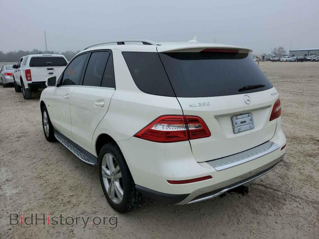 2012 MERCEDES-BENZ M-CLASS - VIN: 4JGDA2EB1CA007795 - Фото 2
