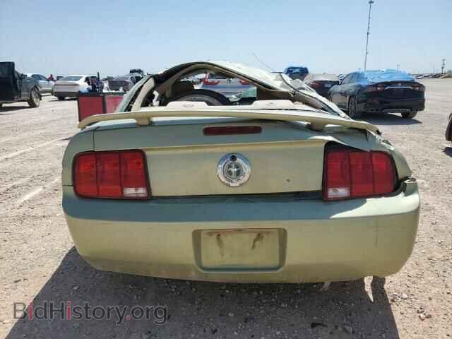 2006 Ford ALL MODELS (VIN 1ZVHT80N765158400) — photo 6 of 12