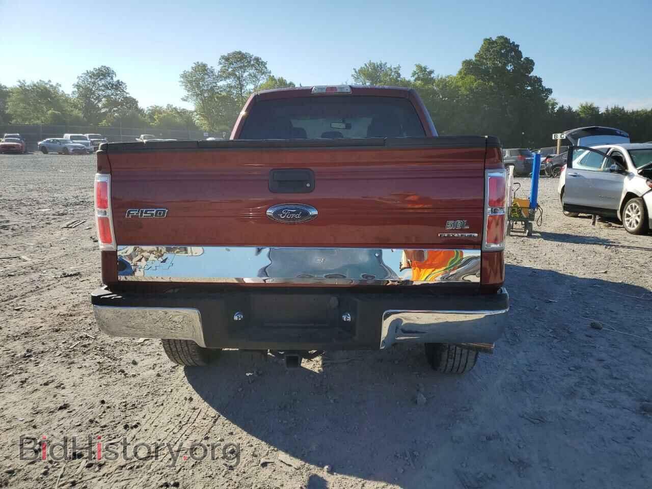 2014 FORD F-150 - VIN: 1FTFX1EF5EKD96544 - Фото 6