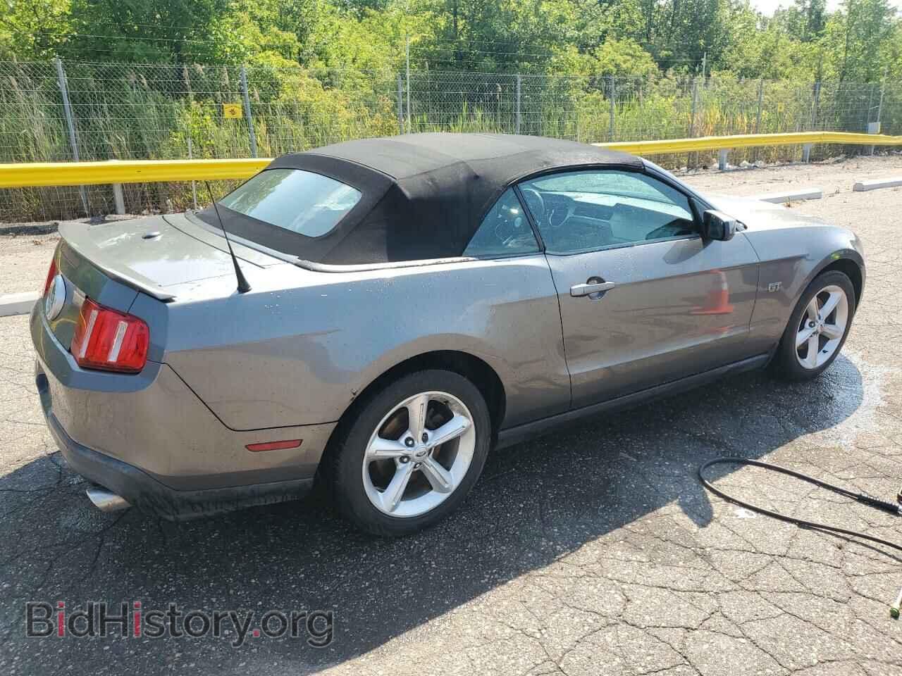 2010 FORD MUSTANG - VIN: 1ZVBP8FH1A5134663 - Фото 3