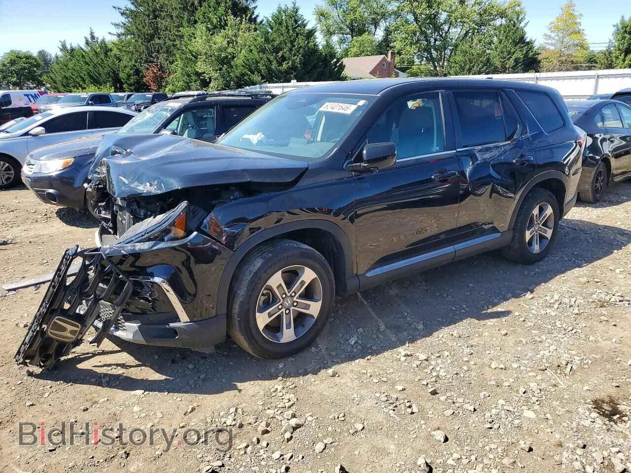 Photo 5FNYG1H59RB026647 - HONDA PILOT 2024