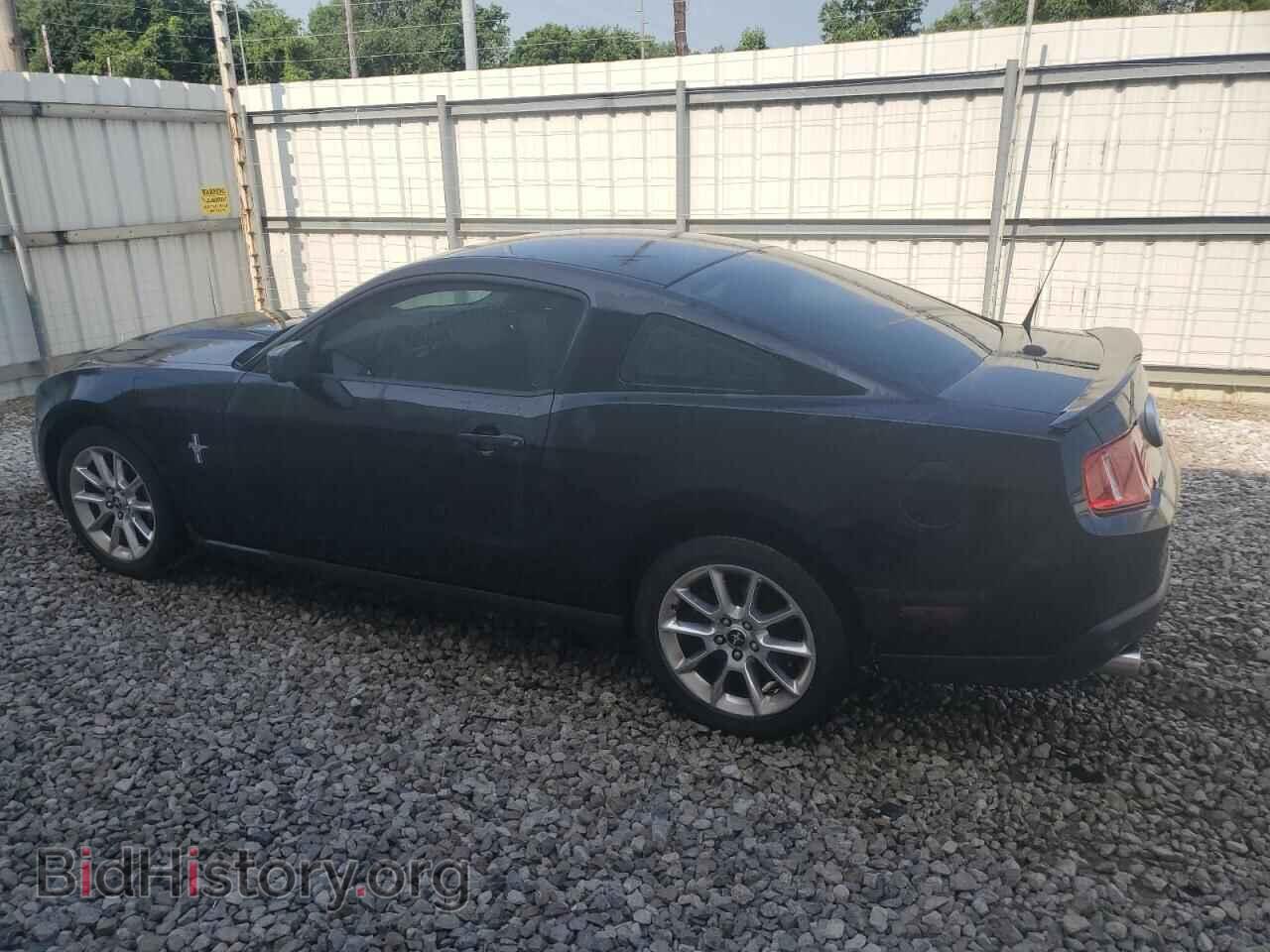 2010 FORD ALL Models - VIN: 1ZVBP8AN0A5135039 - Фото 2