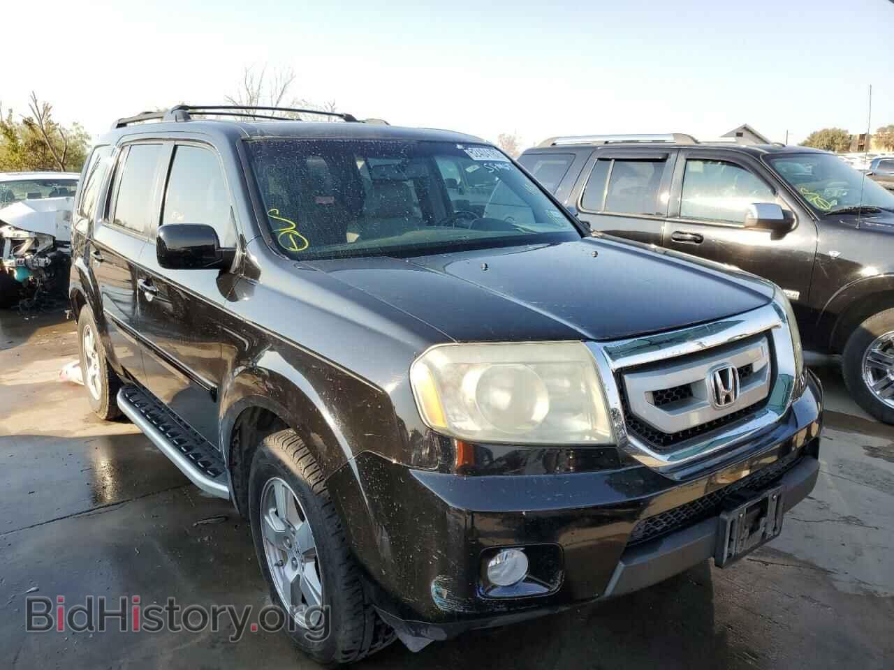 Фотография 5FNYF38579B015970 - HONDA PILOT 2009