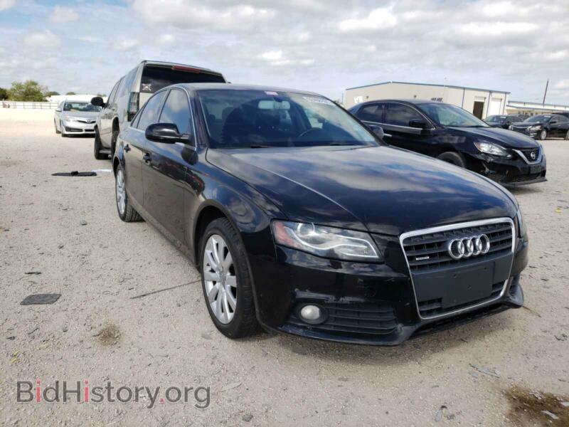 2011 Audi A4 A4 Premium (VIN WAUFFBFL9BN017243) — фото 1 из 10, Copart, повреждение: мелкие вмятины и царапины