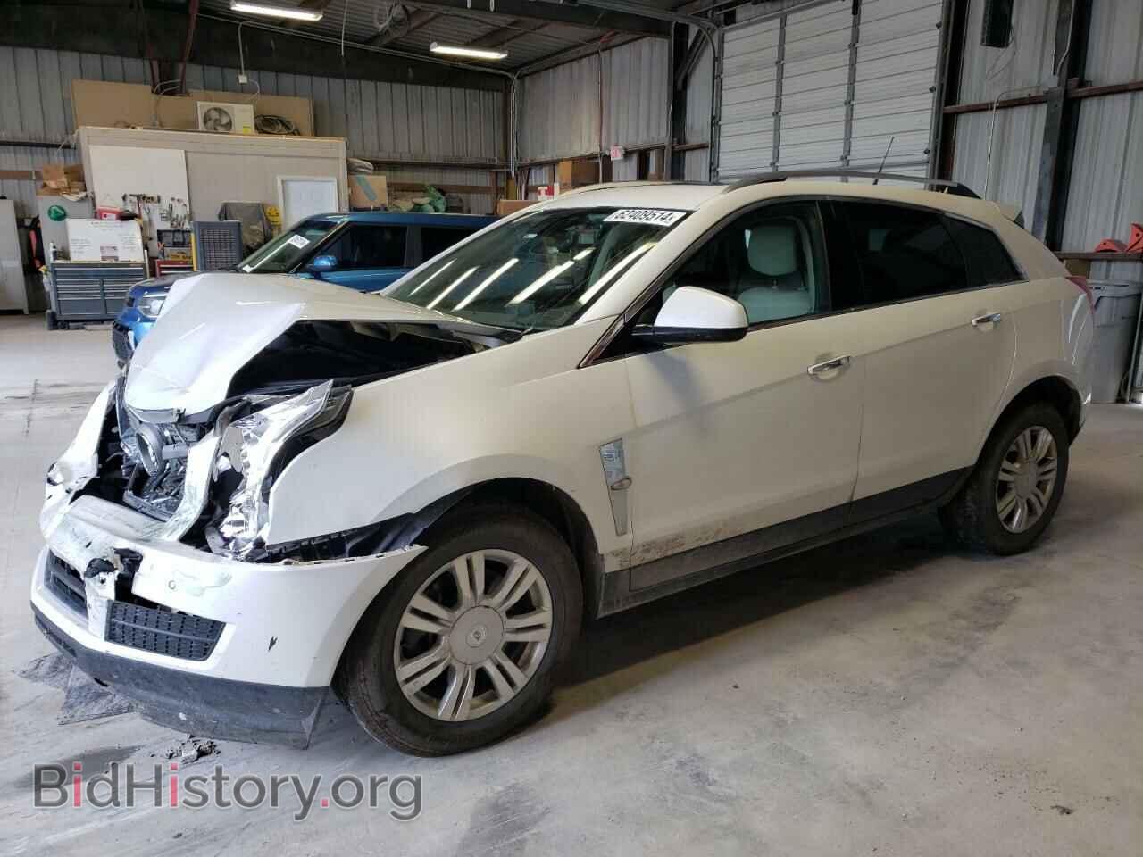 Photo 3GYFNAEY3BS556907 - CADILLAC SRX 2011