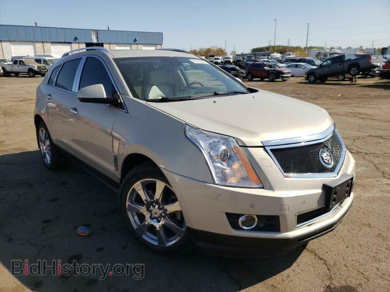 Photo 3GYFNEEY9AS586189 - CADILLAC SRX 2010