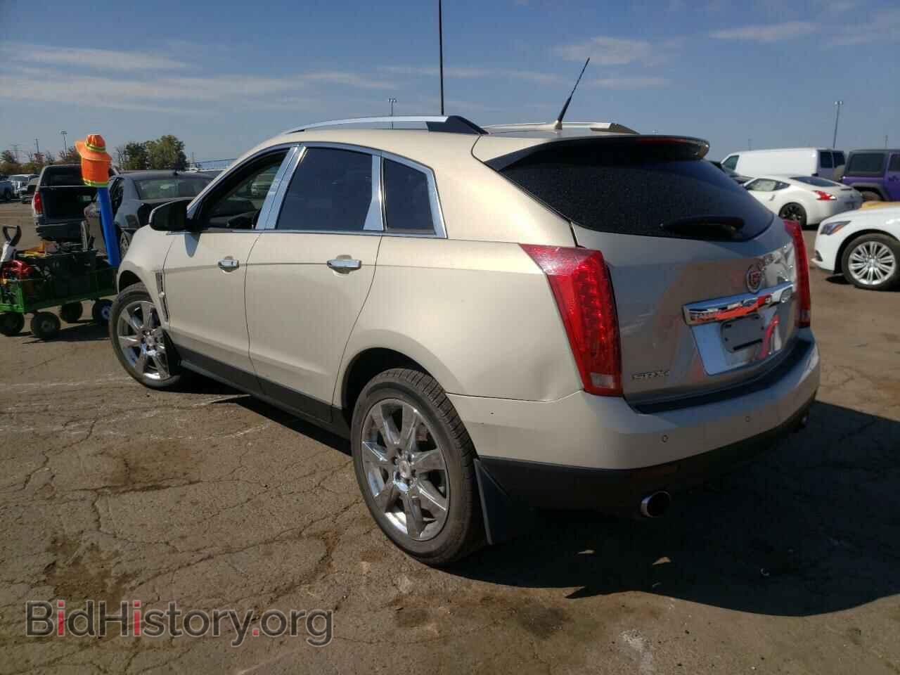 2010 CADILLAC SRX - VIN: 3GYFNEEY9AS586189 - Фото 3