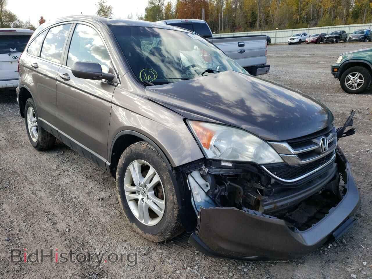 Фотография 5J6RE4H74AL018058 - HONDA CRV 2010