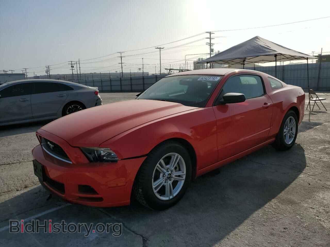 2013 FORD MUSTANG - VIN: 1ZVBP8AM8D5262455 - Фото 2