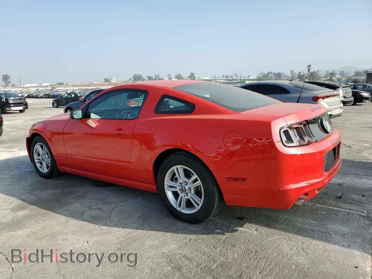 2013 FORD MUSTANG - VIN: 1ZVBP8AM8D5262455 - Фото 3