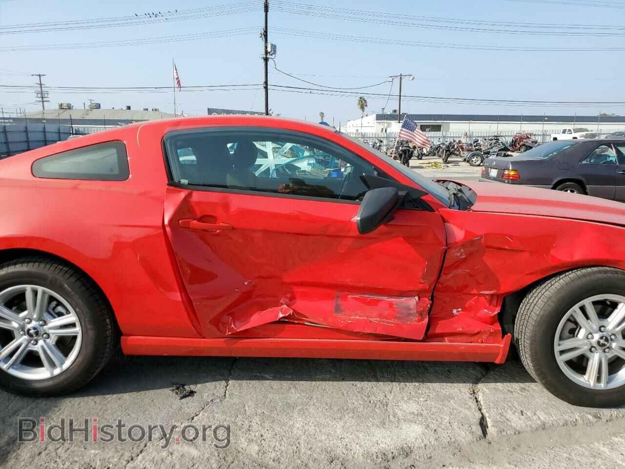 2013 FORD MUSTANG - VIN: 1ZVBP8AM8D5262455 - Фото 9
