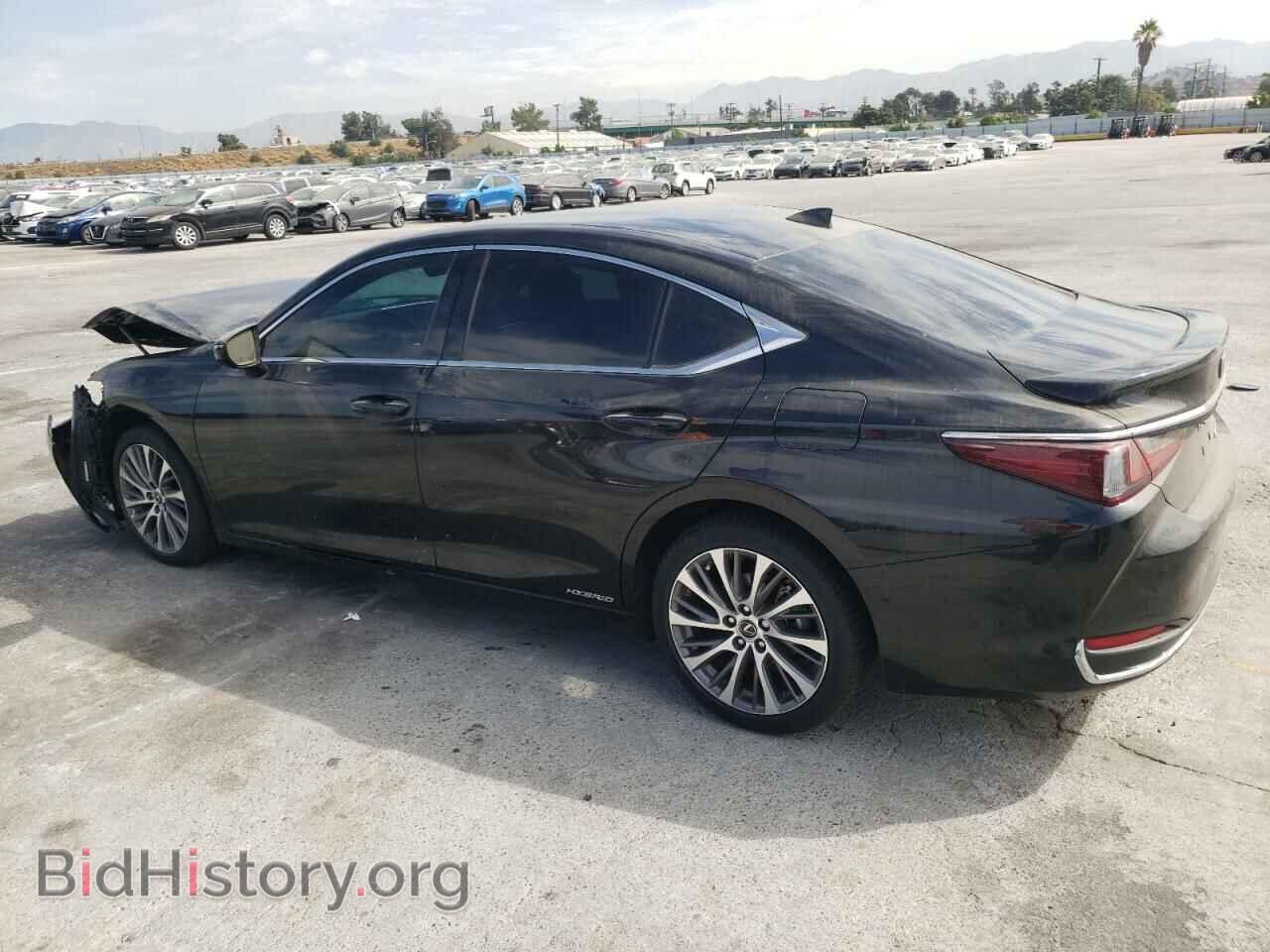 2021 LEXUS ES300 - VIN: 58ADA1C1XMU010465 - Фото 2