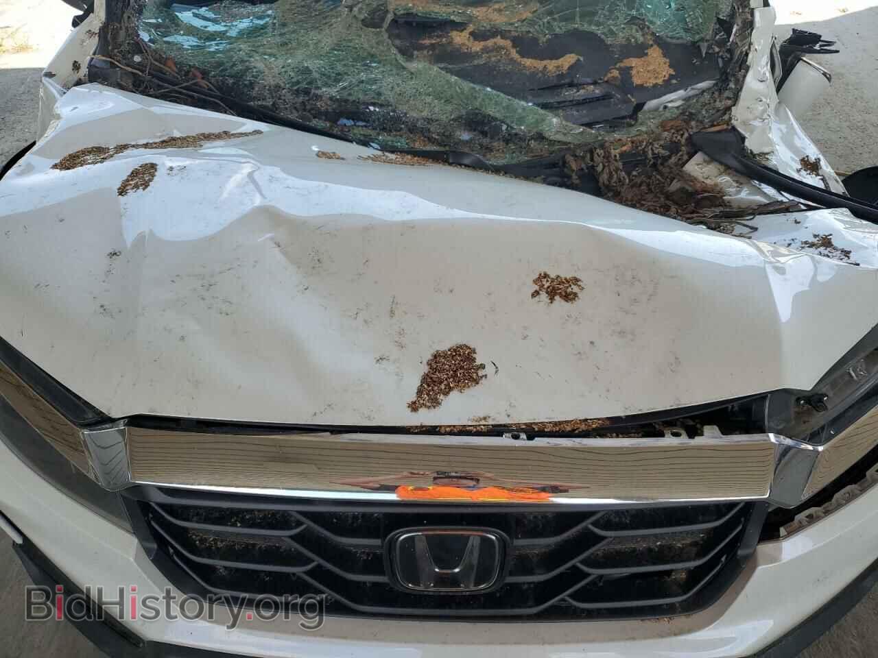 2021 HONDA RIDGELINE - VIN: 5FPYK3F71MB024275 - Фото 11