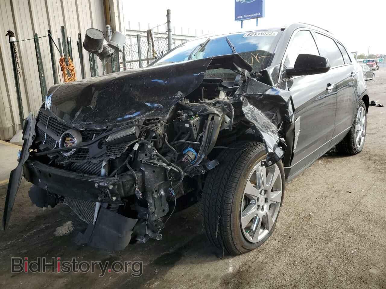 2011 CADILLAC SRX - VIN: 3GYFNEEY7BS620051 - Фото 2