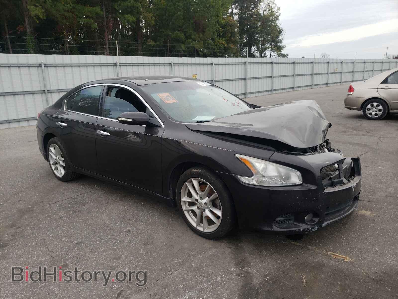 Фотография 1N4AA5AP3BC803497 - NISSAN MAXIMA 2011