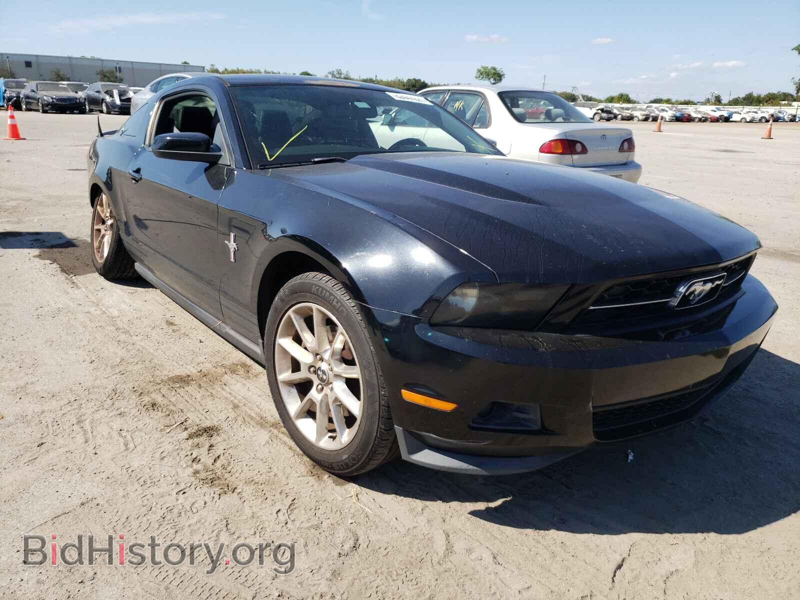 Фотография 1ZVBP8AM7B5151232 - FORD MUSTANG 2011