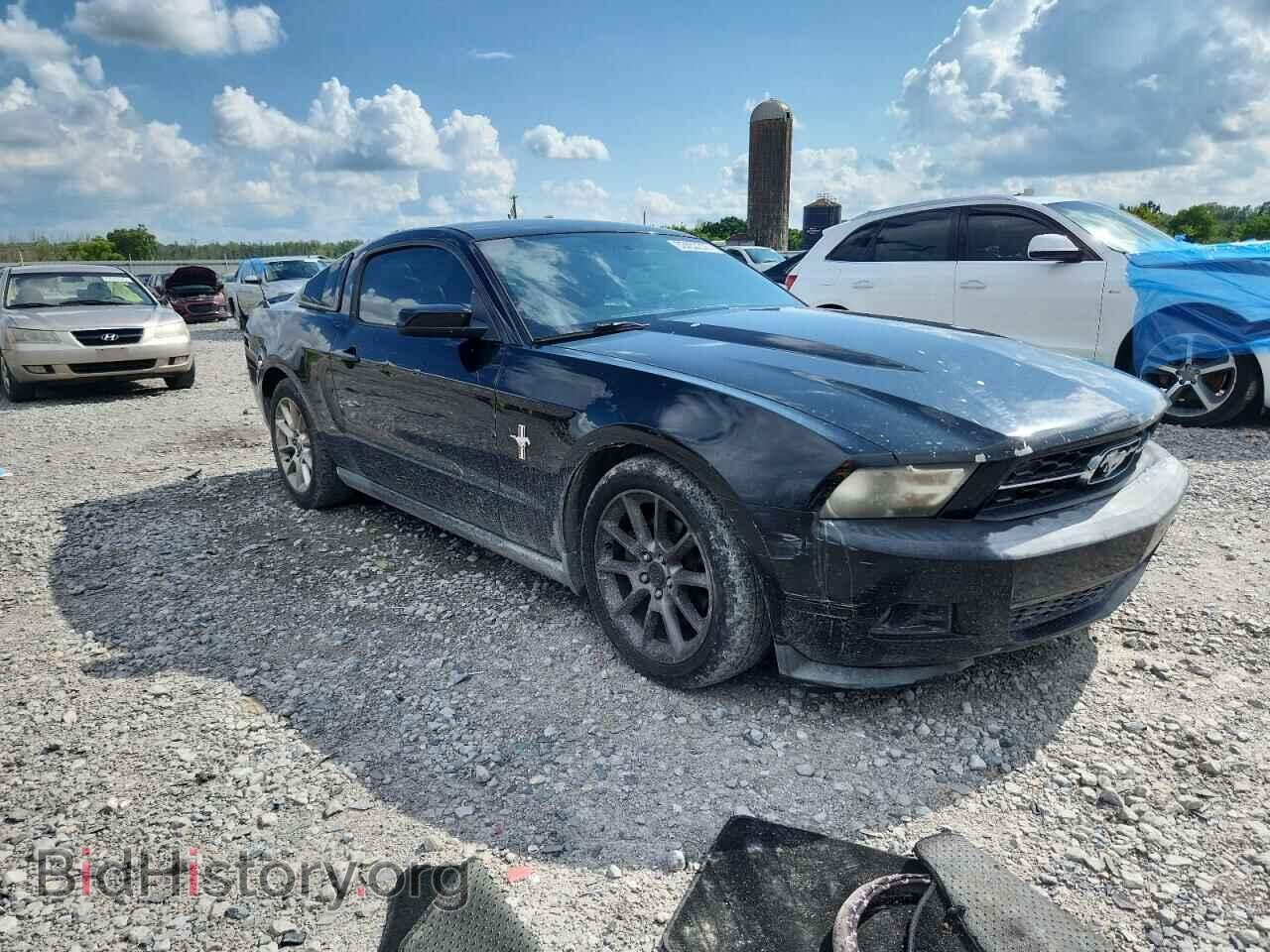 2011 FORD ALL Models - VIN: 1ZVBP8AM5B5124370 - Фото 4