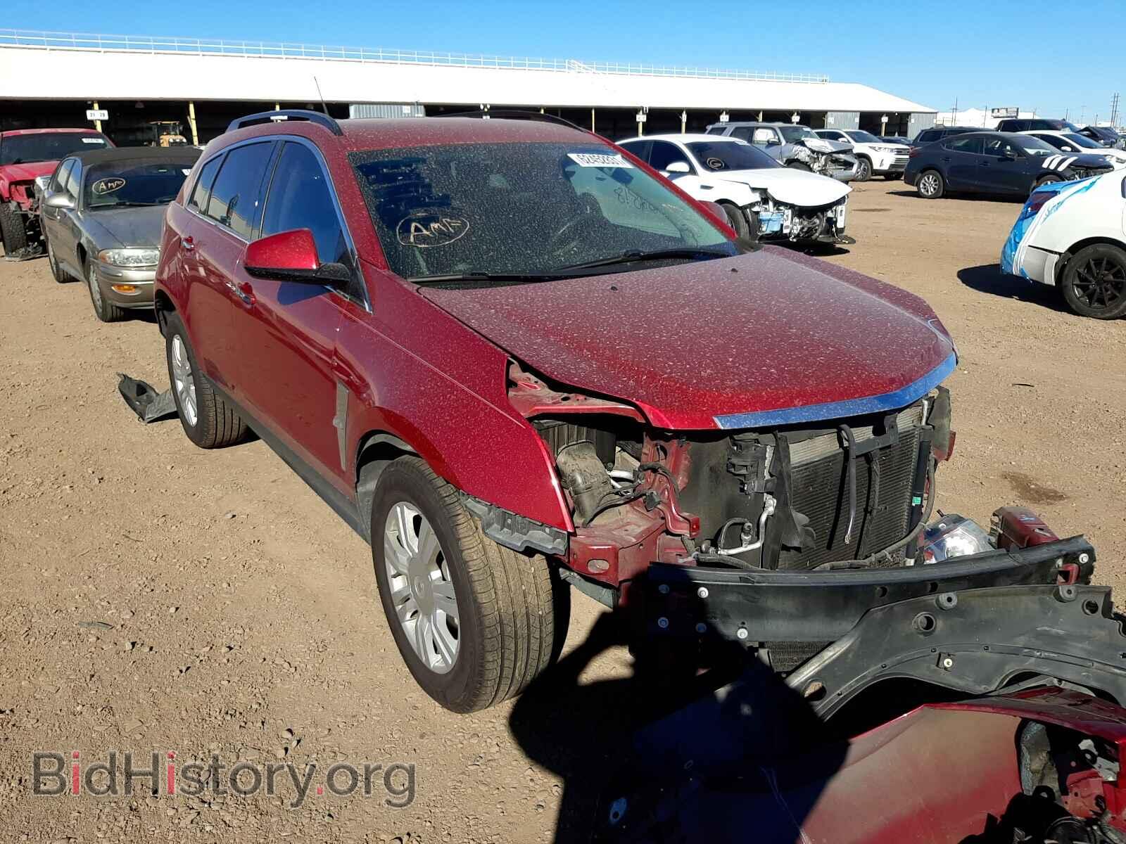 Фотография 3GYFNGEY7AS607634 - CADILLAC SRX 2010