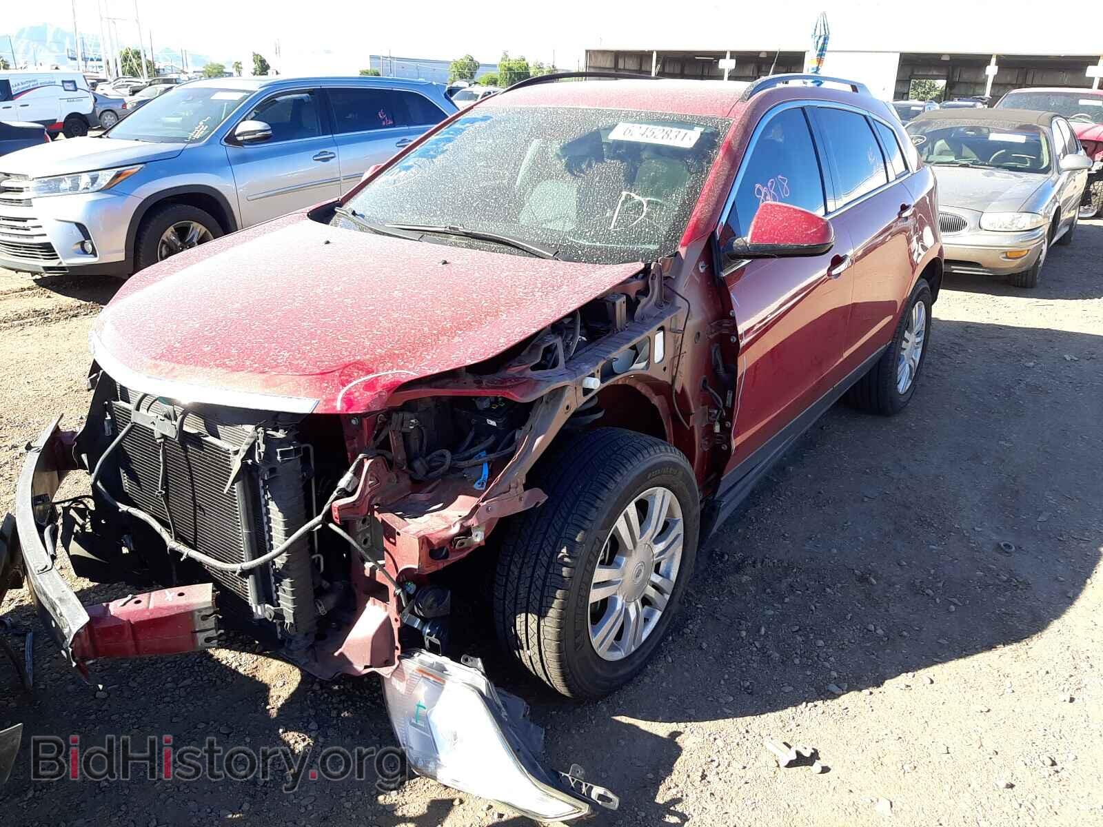 2010 CADILLAC SRX - VIN: 3GYFNGEY7AS607634 - Фото 2