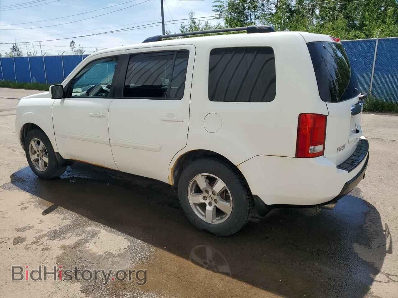 2010 HONDA PILOT - VIN: 5FNYF4H67AB503335 - Фото 2