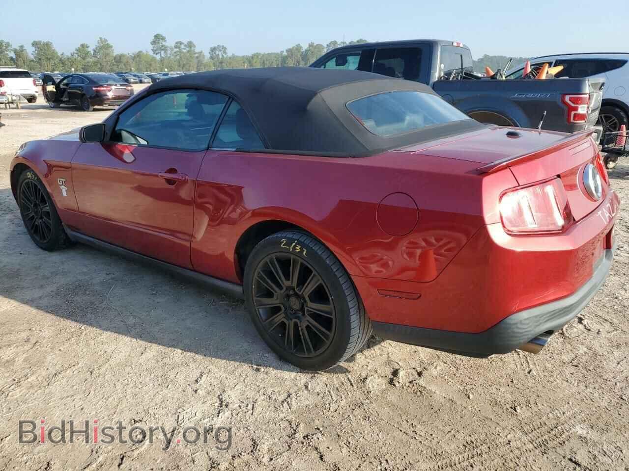 2010 FORD MUSTANG - VIN: 1ZVBP8FH7A5181017 - Фото 2