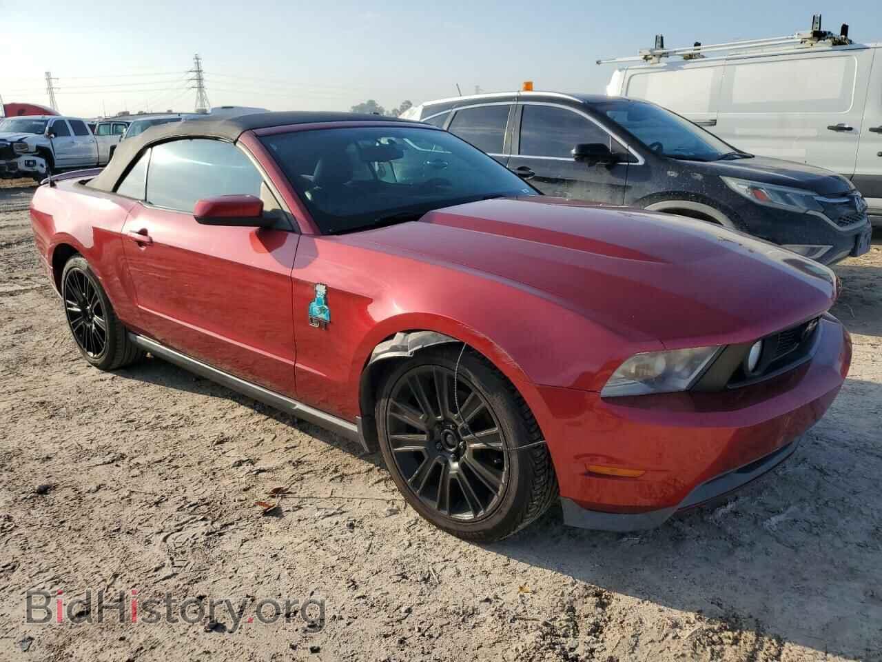 2010 FORD MUSTANG - VIN: 1ZVBP8FH7A5181017 - Фото 4