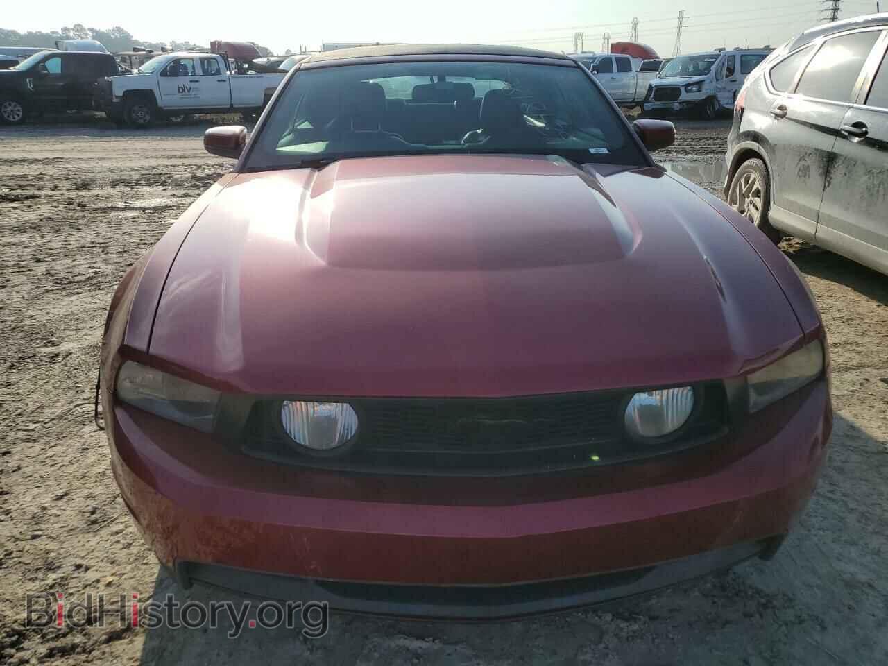 2010 FORD MUSTANG - VIN: 1ZVBP8FH7A5181017 - Фото 5