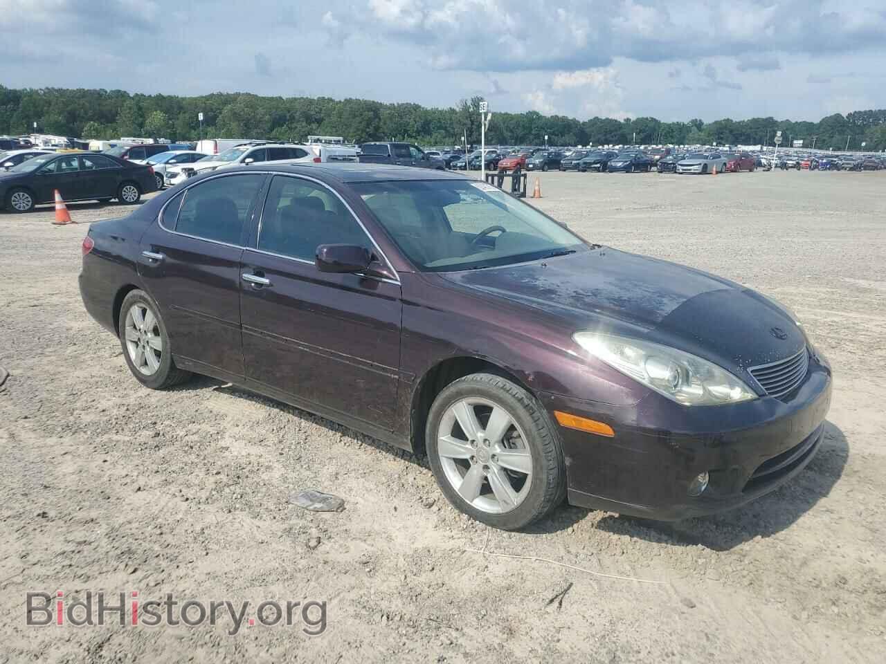 2005 LEXUS ES330 - VIN: JTHBA30G355095747 - Фото 4
