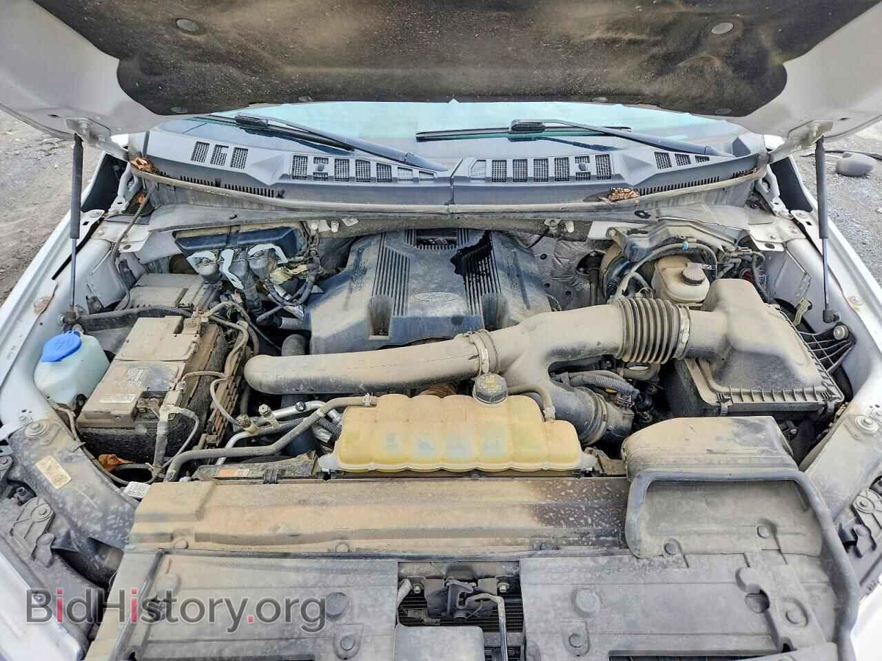 2020 FORD F150 - VIN: 1FTEW1E47LFC79616 - Фото 11