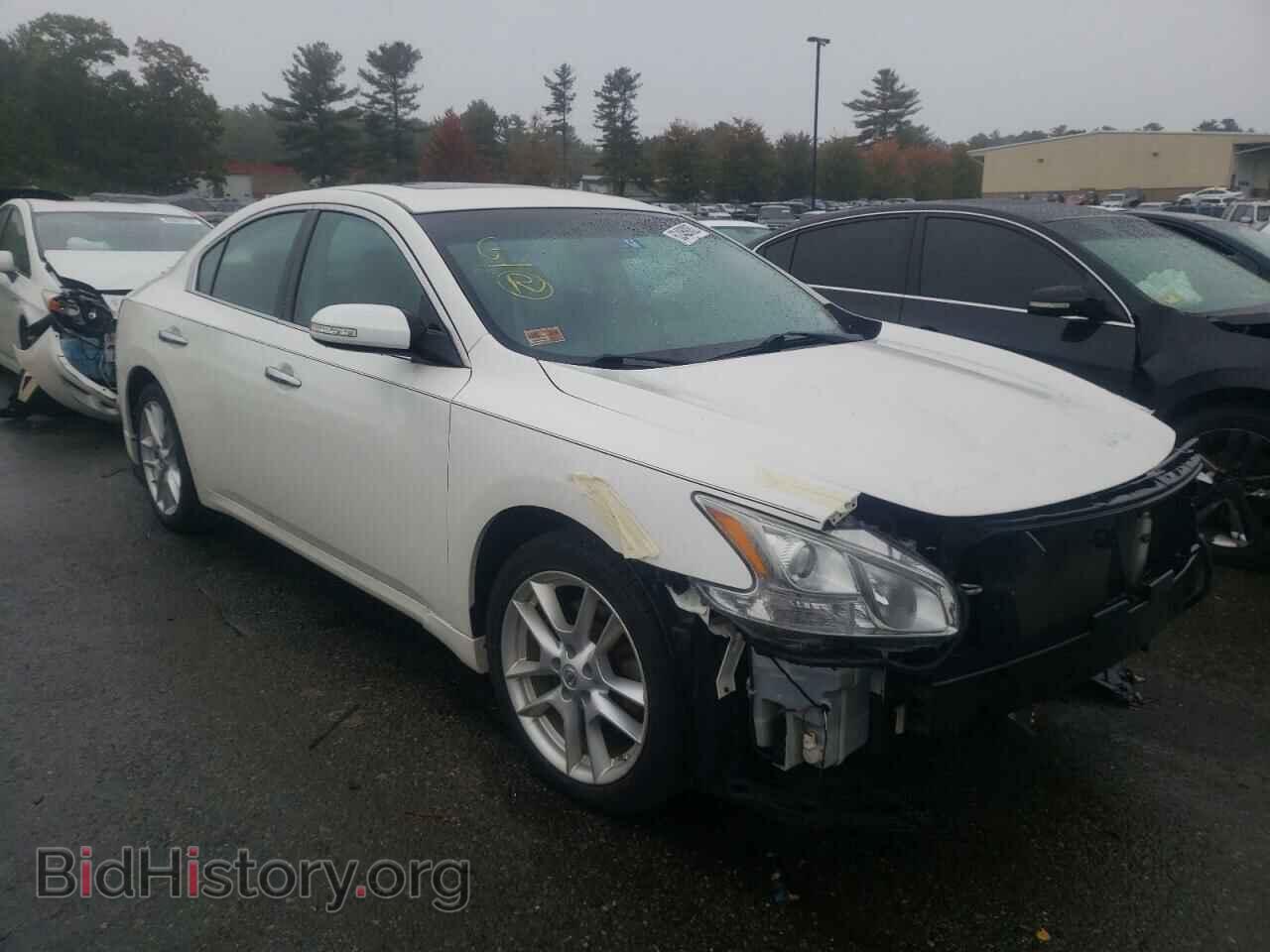 Photo 1N4AA5AP3BC844552 - NISSAN MAXIMA 2011