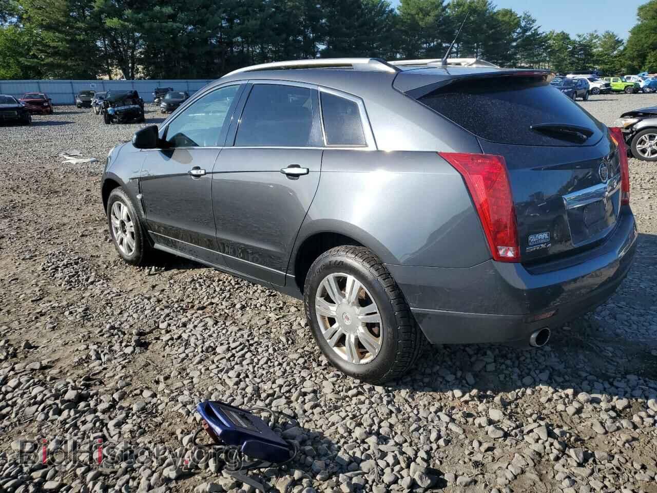 2011 CADILLAC SRX - VIN: 3GYFNDEY9BS535724 - Фото 2