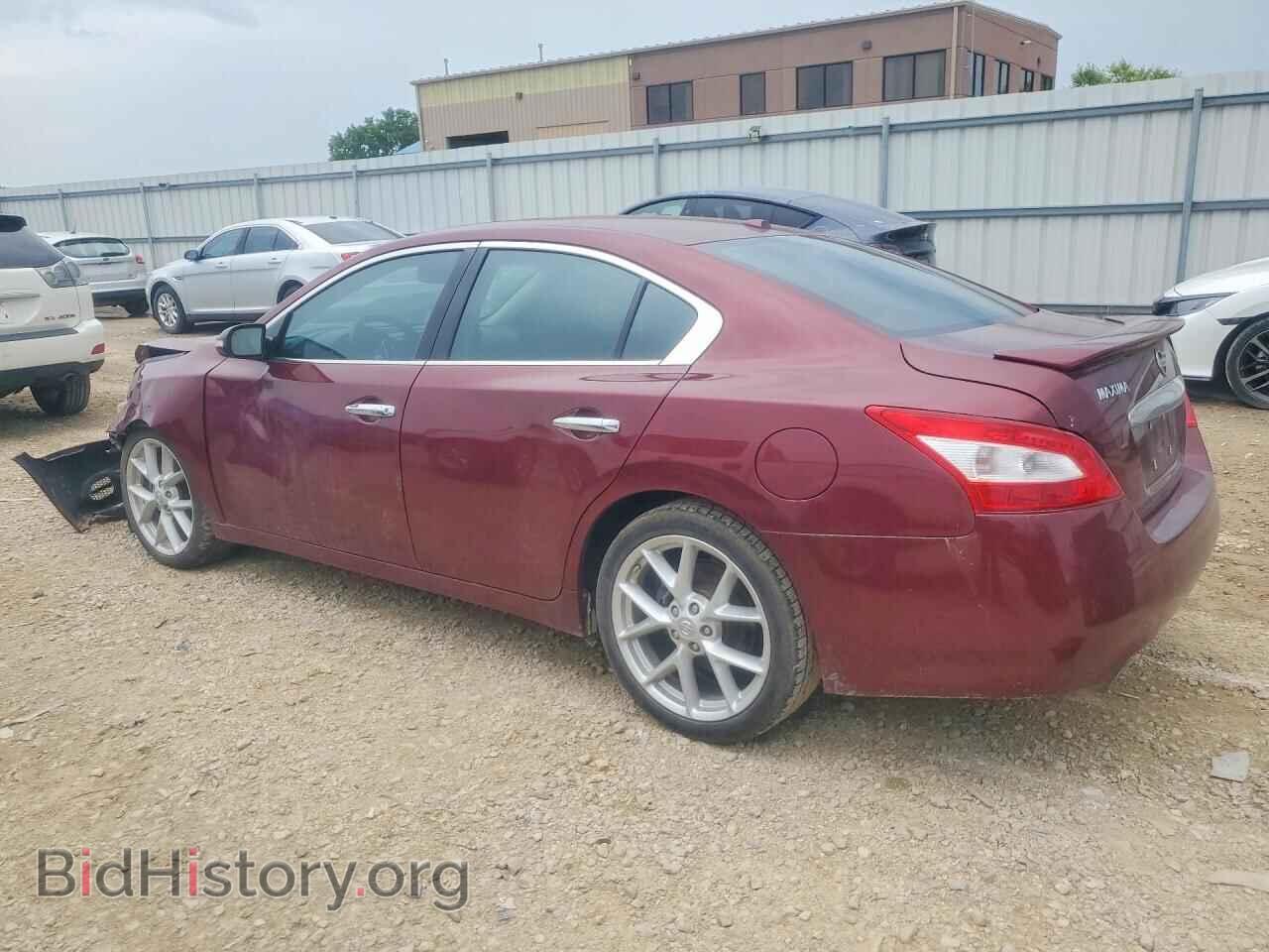 2009 NISSAN MAXIMA - VIN: 1N4AA51E89C814987 - Фото 2
