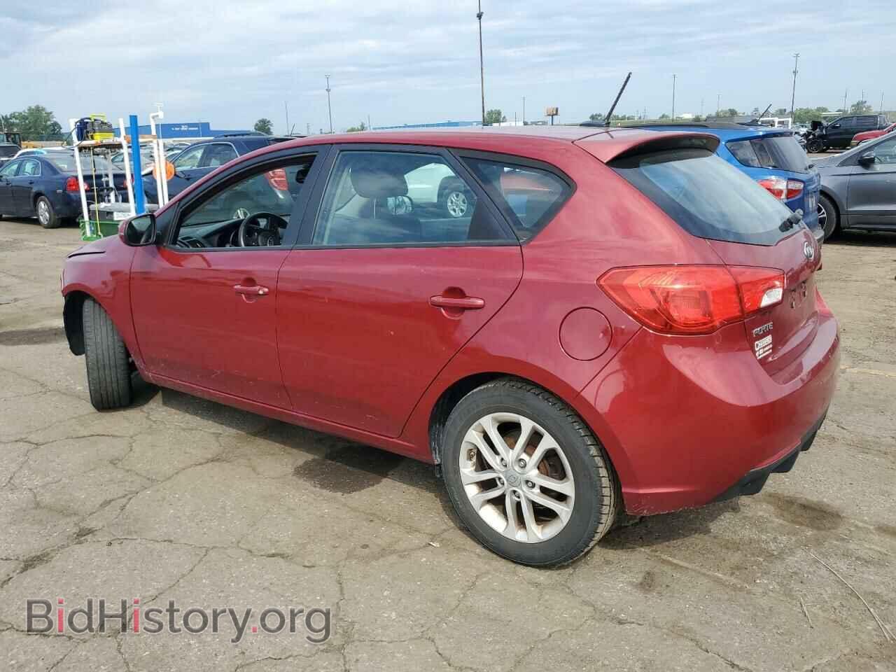 2012 KIA FORTE - VIN: KNAFU5A24C5469480 - Фото 2