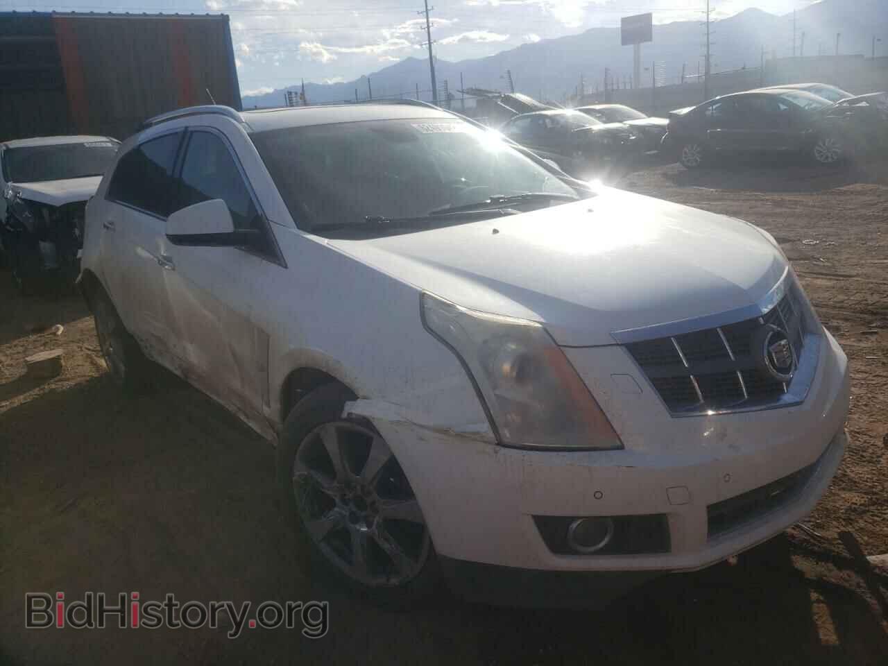 Фотография 3GYFNEE33CS652209 - CADILLAC SRX 2012
