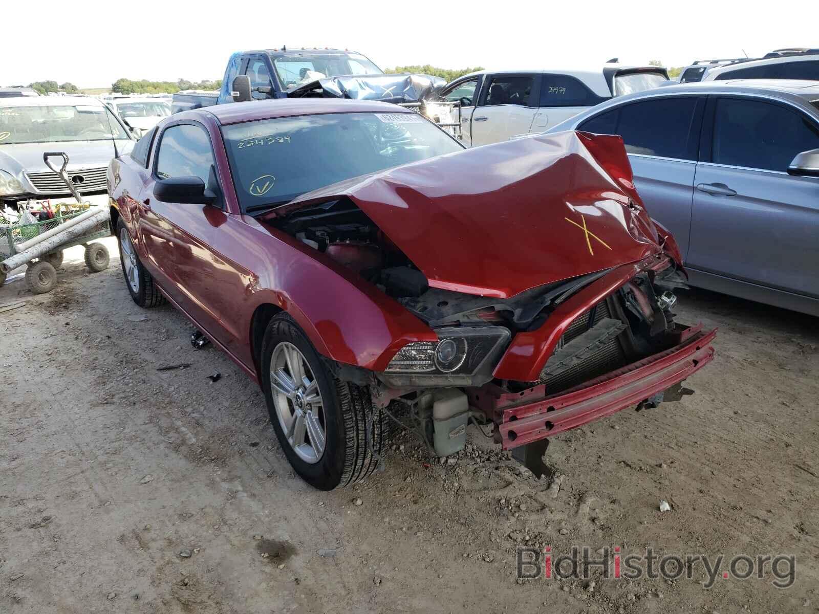 Photo 1ZVBP8AM8E5284389 - FORD MUSTANG 2014