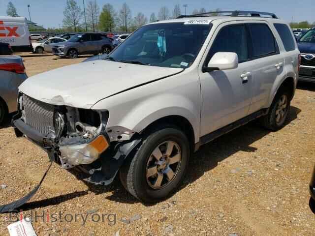Фотография 1FMCU0EG5AKB52140 - FORD ESCAPE 2010