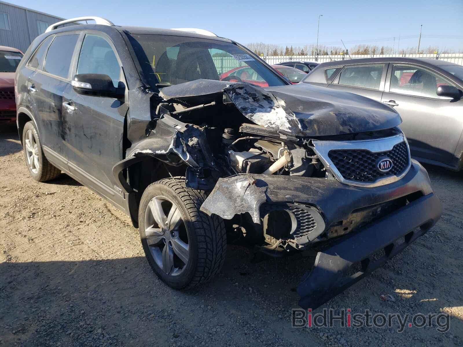 Фотография 5XYKUDA25DG319365 - KIA SORENTO 2013