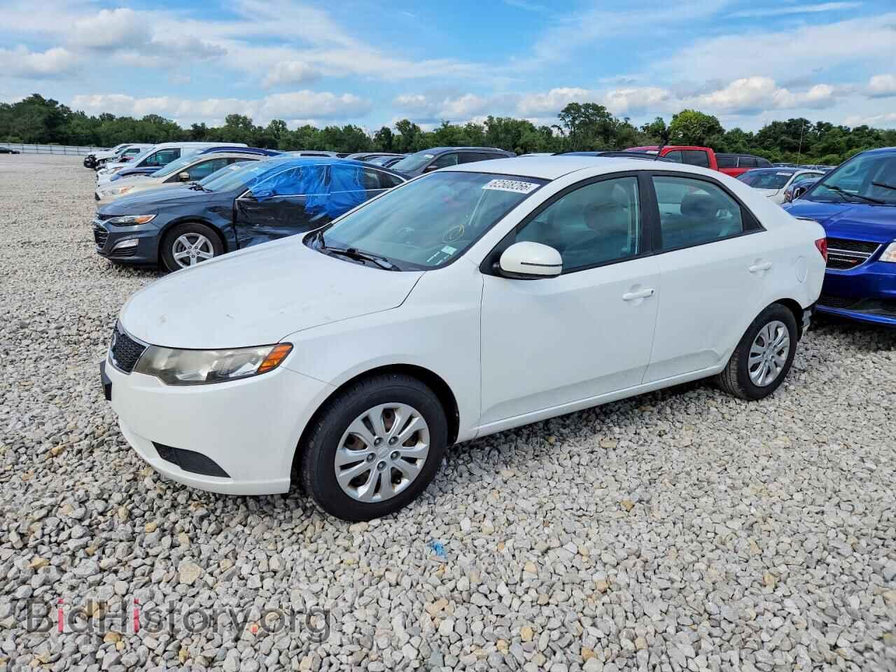 Фотография KNAFU4A23D5735616 - KIA FORTE 2013