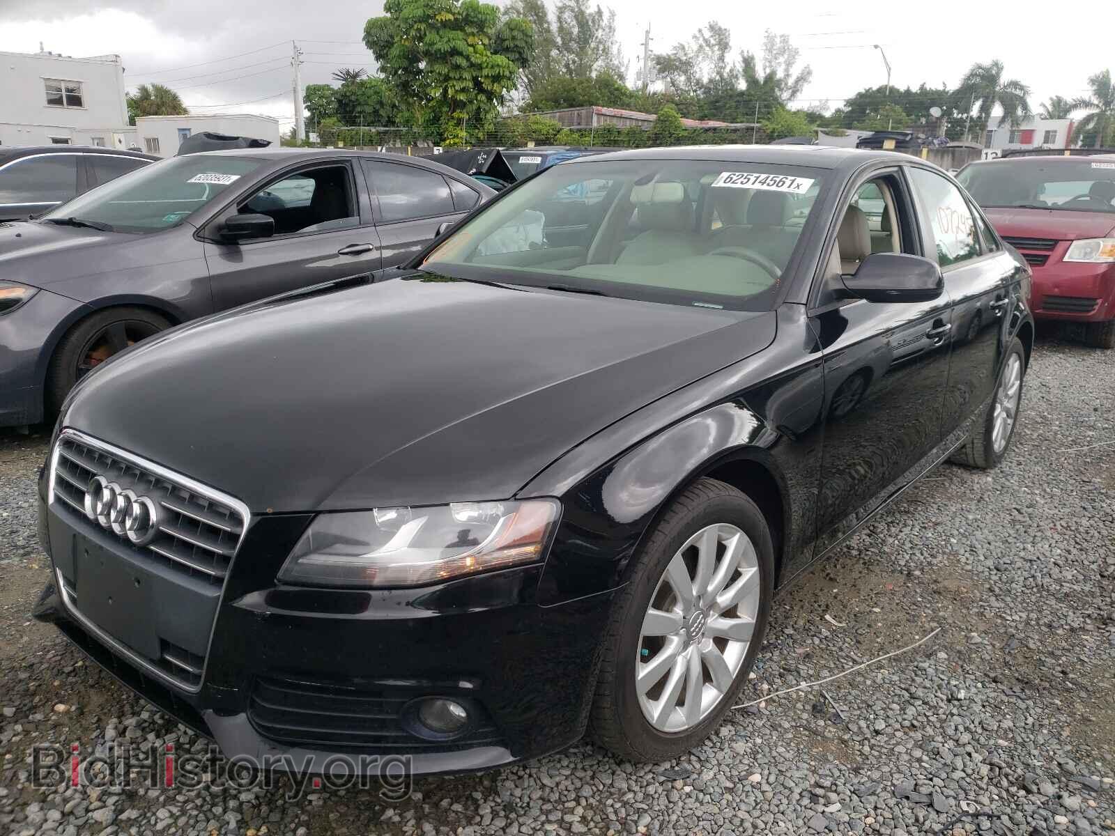 2012 AUDI A4 - VIN: WAUAFAFL2CA118833 - Фото 2