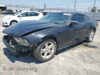 2011 Ford ALL MODELS, black — VIN 1ZVBP8AM9B5161499, Copart
