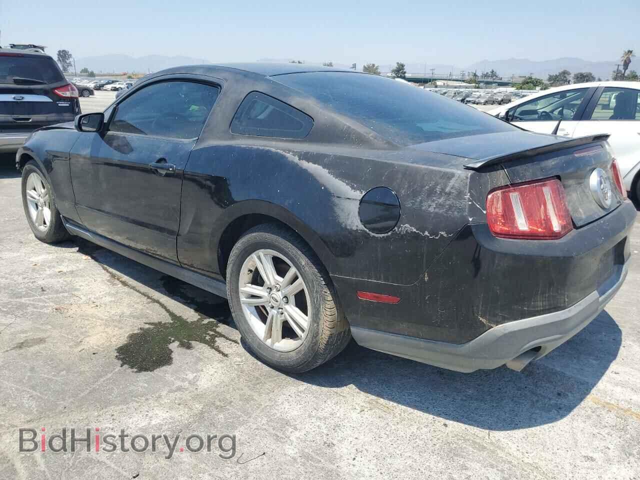 2011 FORD ALL Models - VIN: 1ZVBP8AM9B5161499 - Фото 2