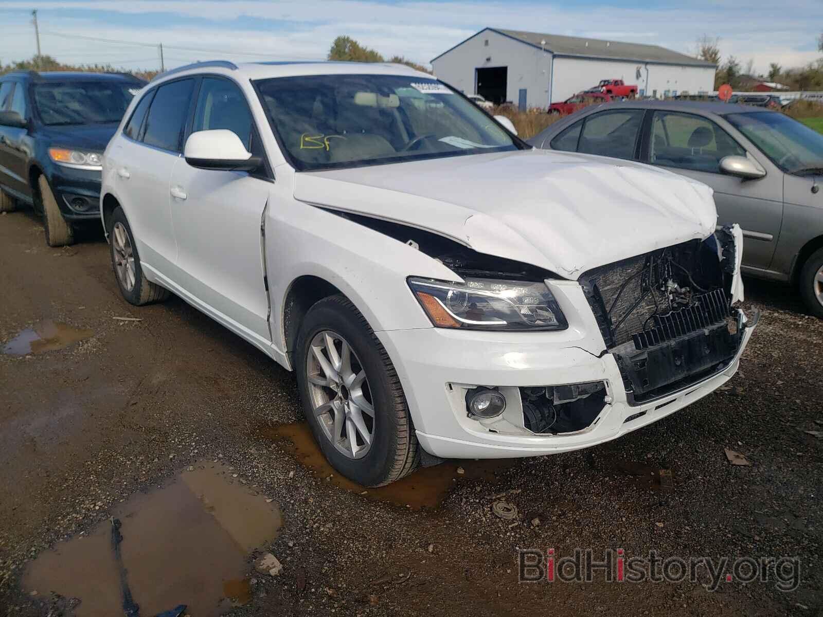 Фотография WA1LKAFP8AA015367 - AUDI Q5 2010