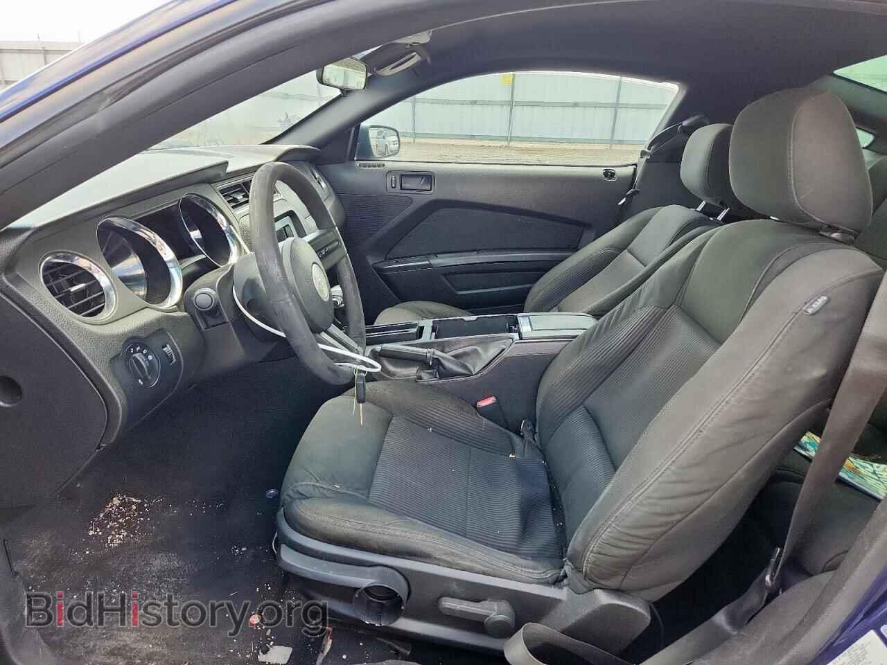 2010 FORD MUSTANG - VIN: 1ZVBP8CH8A5143705 - Фото 7