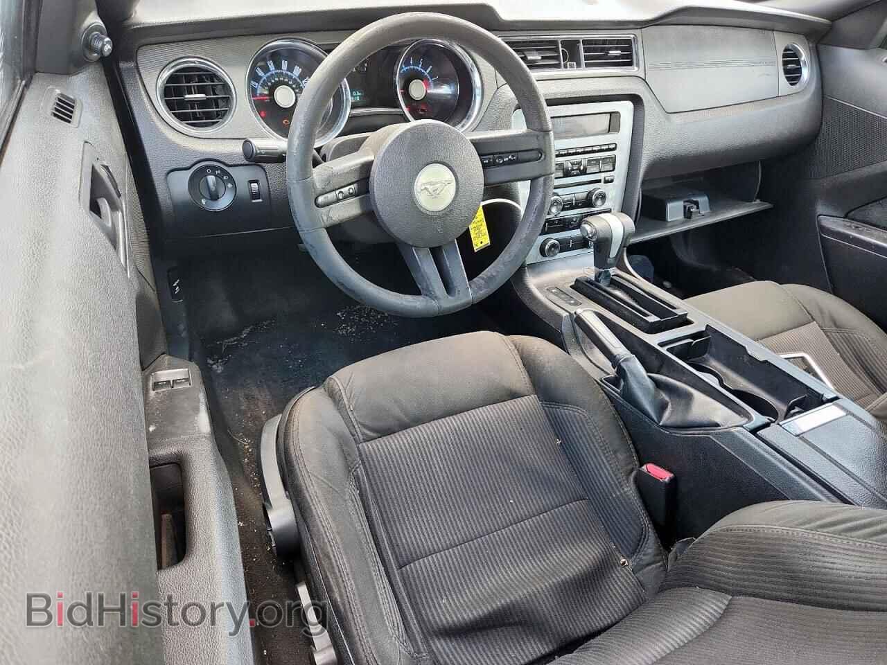 2010 FORD MUSTANG - VIN: 1ZVBP8CH8A5143705 - Фото 8