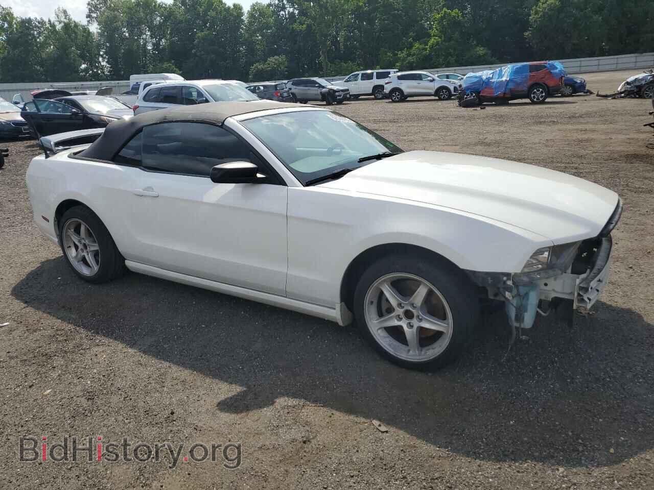 2013 FORD ALL Models - VIN: 1ZVBP8EM2D5248092 - Фото 4