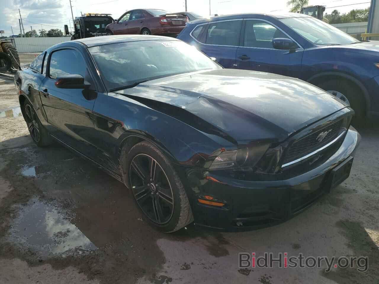 Photo 1ZVBP8AM1D5281414 - FORD MUSTANG 2013