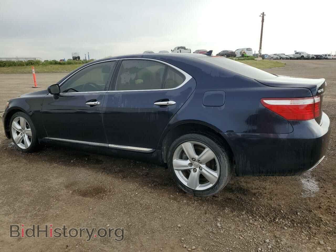 2009 LEXUS LS460 - VIN: JTHCL46F195004516 - Photo 2