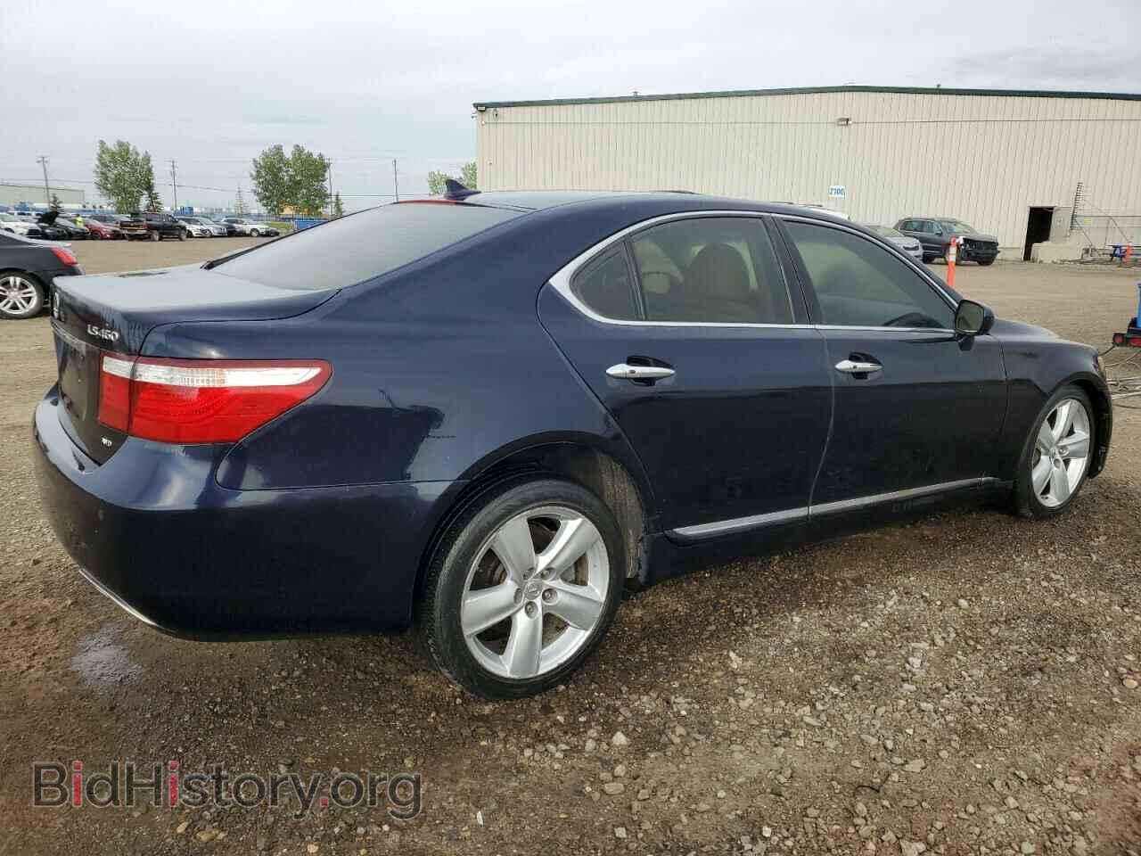 2009 LEXUS LS460 - VIN: JTHCL46F195004516 - Photo 3