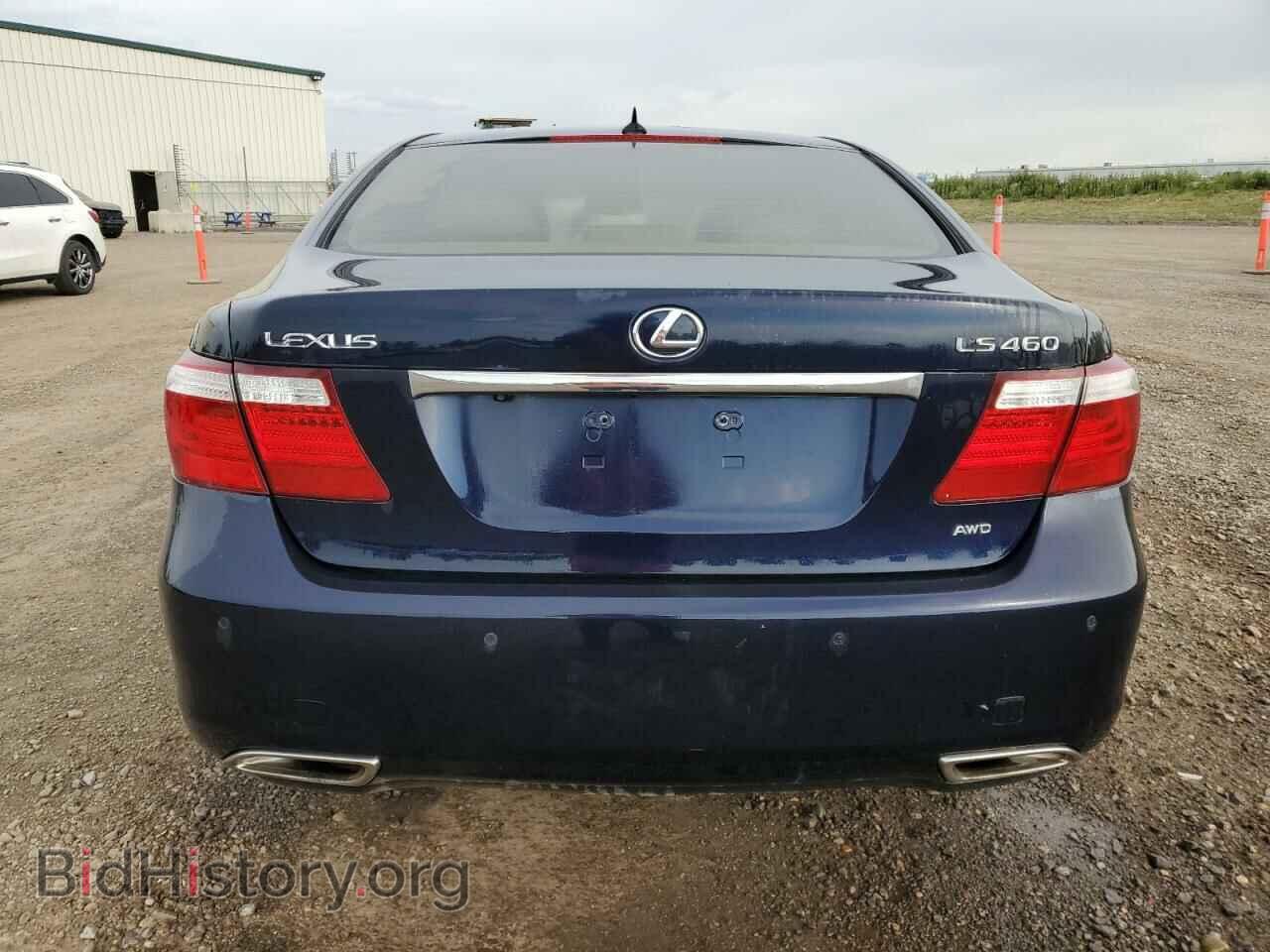 2009 LEXUS LS460 - VIN: JTHCL46F195004516 - Photo 6